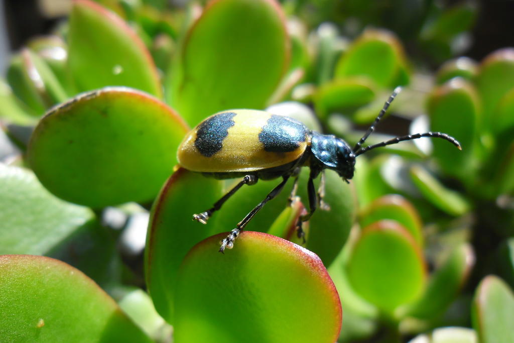 Rinconcito Verde Ujarras Luaran gambar