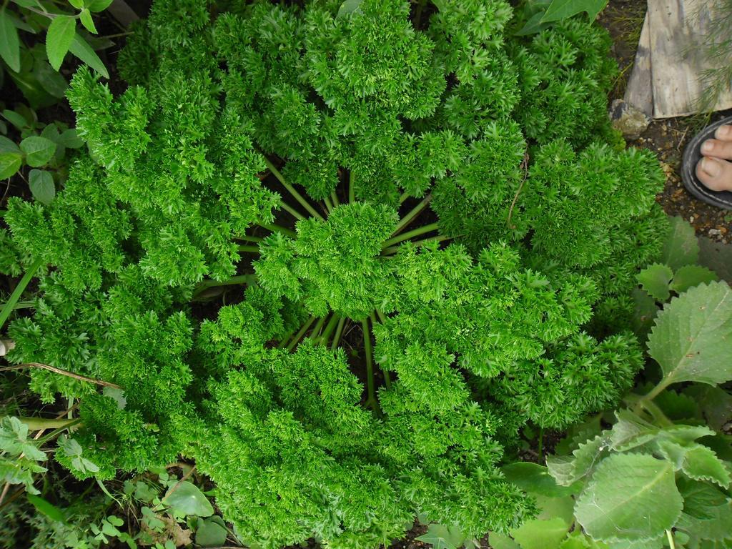 Rinconcito Verde Ujarras Luaran gambar