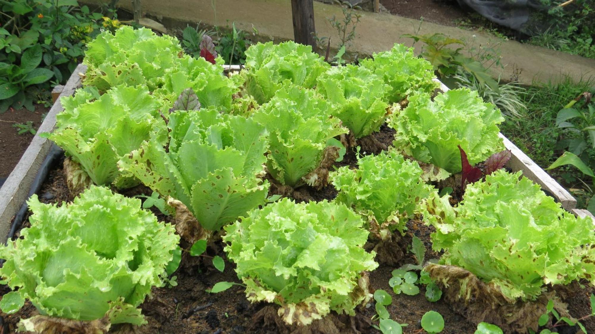 Rinconcito Verde Ujarras Luaran gambar
